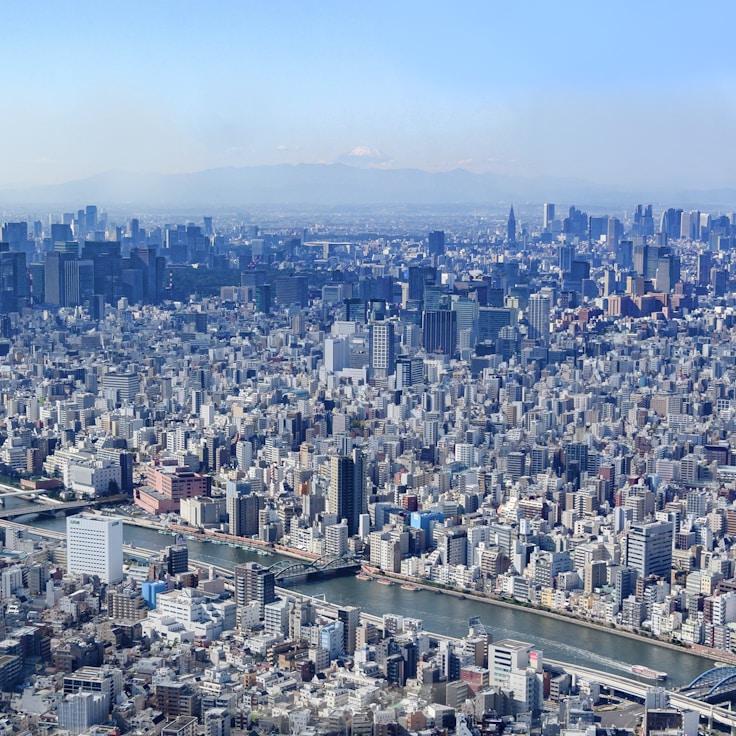 Amelie Dupont - Expat family life guide in France